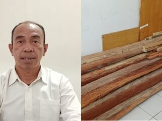 Kepala Balai Taman Hutan Raya (Tahura) Nipa-Nipa, La Mbara (kiri) dan barang bukti berupa 12 batang kayu besi yang disita dalam kasus dugaan pembalakan liar di Soropia Konawe. Foto: Penafaktual.com