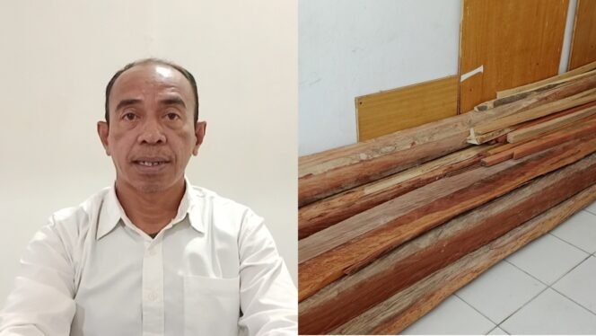 
 Kepala Balai Taman Hutan Raya (Tahura) Nipa-Nipa, La Mbara (kiri) dan barang bukti berupa 12 batang kayu besi yang disita dalam kasus dugaan pembalakan liar di Soropia Konawe. Foto: Penafaktual.com