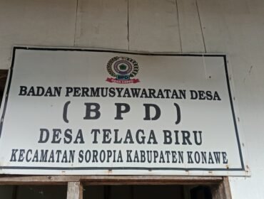 Ketua BPD Telaga Biru, Kecamatan Soropia, Kabupaten Konawe terlibat dugaan pembalalakan liar di kawasan Tahura Nipa-Nipa. Foto: Penafaktual.com